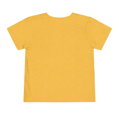 No Honk Zone Goose Shirt